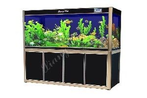 1.8米的魚缸有多重要：1.8米的魚缸是一個非常重要的養魚容器