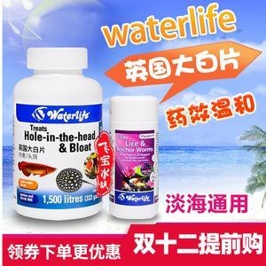 龍魚(yú)燈烤魚(yú)怎么辨別真假 龍魚(yú)百科 第1張 龍魚(yú)燈烤魚(yú)怎么辨別真假 龍魚(yú)燈烤魚(yú)怎么辨別真假 龍魚(yú)百科 第1張