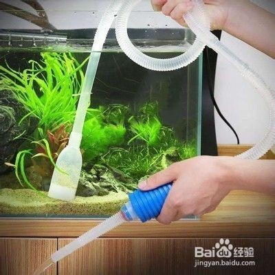 魚缸水一直有氣泡怎么回事，魚缸水一直有氣泡怎么回事以及解決方案