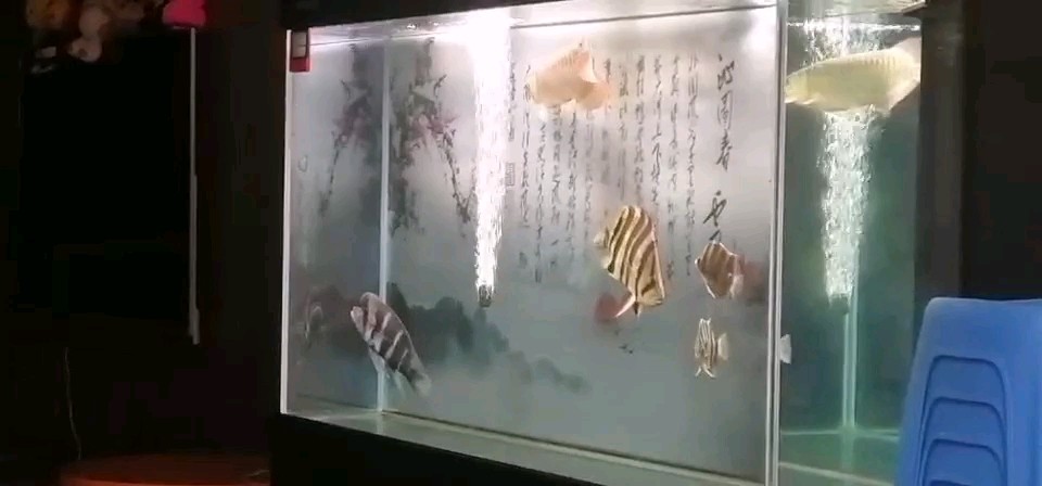 魚不在多有虎則靈