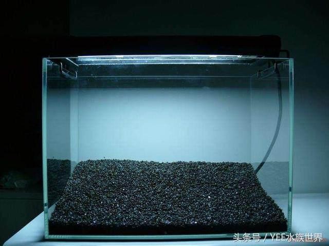 成華區長天水族館