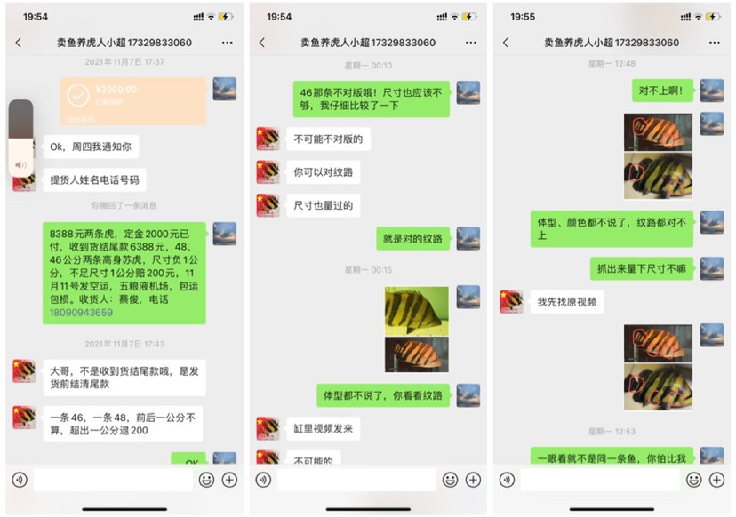 廣東廣州無良魚商養虎小超人