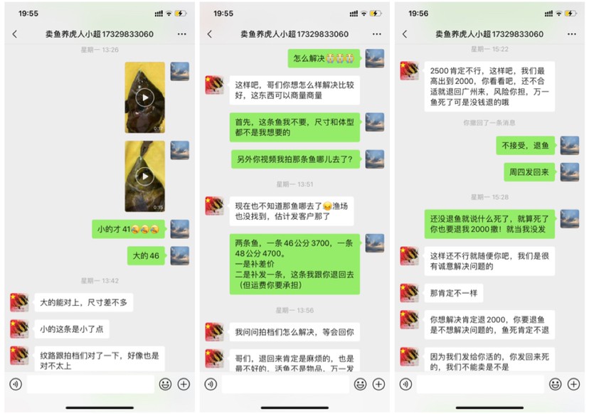 廣東廣州無良魚商養虎小超人