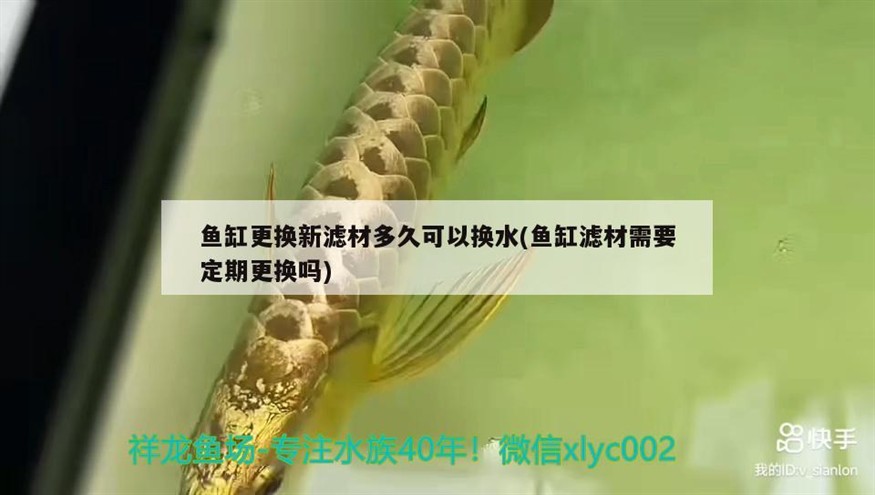 無錫魚缸批發市場地址在哪里無錫魚缸批發市場地址在哪里呀電話，無錫魚缸批發市場地址在哪里呀電話