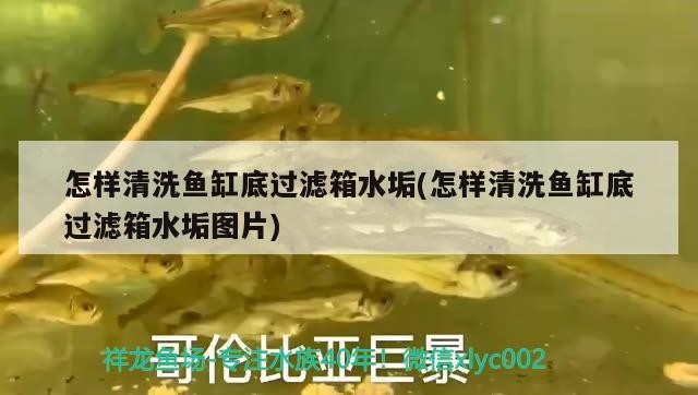 無錫魚缸批發市場地址在哪里無錫魚缸批發市場地址在哪里呀電話，無錫魚缸批發市場地址在哪里呀電話