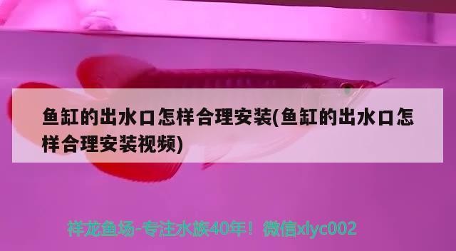 魚缸的出水口怎樣合理安裝(魚缸的出水口怎樣合理安裝視頻)