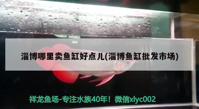 淄博哪里賣魚缸好點兒(淄博魚缸批發市場)