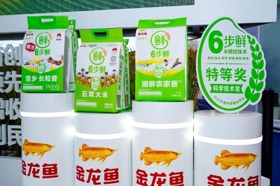 印尼紅龍魚多少錢一條圖片（印尼紅龍魚多少錢一條圖片及價格）