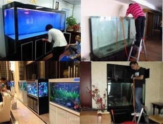 搬家可以搬魚缸嗎：搬家可以搬魚缸嗎？ 搬家可以搬魚缸嗎：搬家可以搬魚缸嗎？ 魚缸百科 第2張