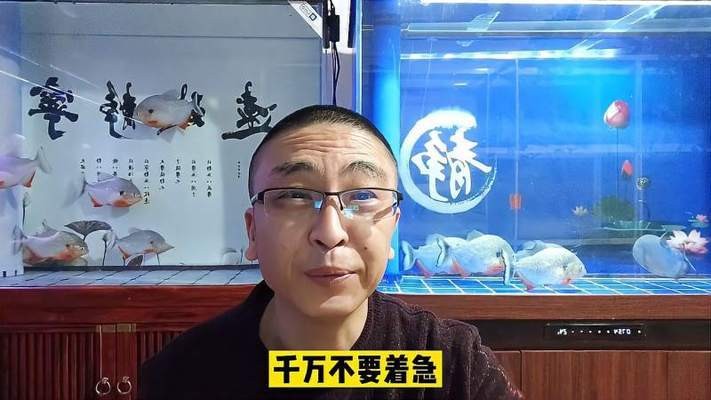 長(zhǎng)沙市雨花區(qū)綠州水族花卉（長(zhǎng)沙市雨花區(qū)綠州水族花卉店）