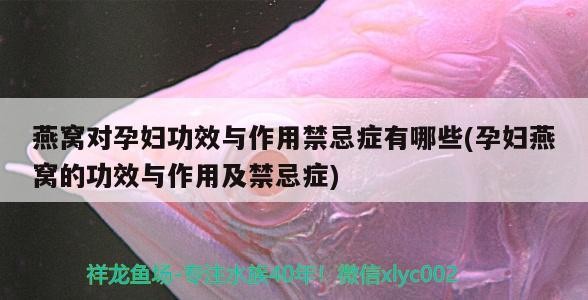 虎魚這樣明過頭、怎么調能調明啊