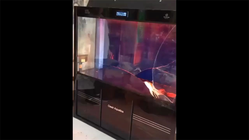 啥都要講究品質