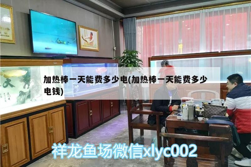 加熱棒一天能費多少電(加熱棒一天能費多少電錢)