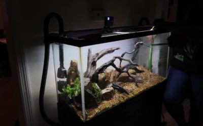 大型景觀魚缸推薦：大型景觀魚缸選擇
