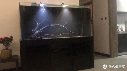 魚缸水質渾濁怎么辦魚缸水質渾濁怎么辦魚缸水質渾濁怎么辦：底濾魚缸水質渾濁怎么辦