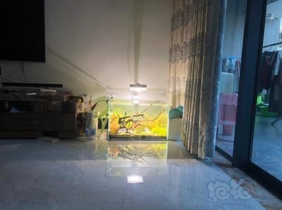 幫我放魚缸：魚缸擺放有什么風(fēng)水講究？