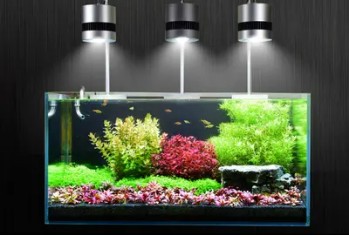 新羅區炫彩水族經營部（新羅區炫彩水族經營部地址）