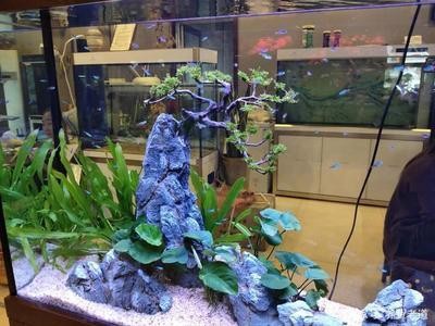 石獅市玲瓏水族館（石獅市玲瓏水族館地址）