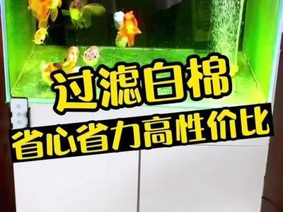羅山縣新區(qū)海洋水族館（羅山縣新區(qū)海洋水族館電話） 羅山縣新區(qū)海洋水族館（羅山縣新區(qū)海洋水族館電話） 全國水族館企業(yè)名錄 第1張