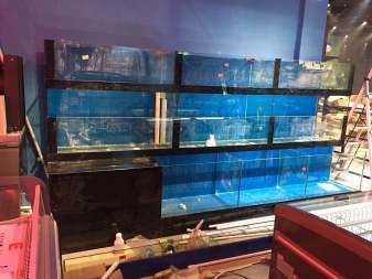 多層魚缸組缸制作過程
