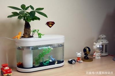 紅龍魚品質等級視頻（紅龍魚品質等級視頻大全） 紅龍魚品質等級視頻（紅龍魚品質等級視頻大全） 紅龍魚百科