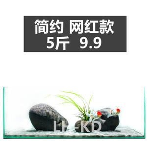慈鯛魚(yú)缸造景效果圖：三湖慈鯛魚(yú)缸造景效果圖