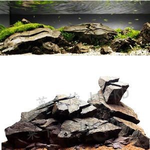 慈鯛魚(yú)缸造景效果圖：三湖慈鯛魚(yú)缸造景效果圖