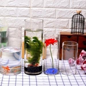 玻璃魚缸養花：關于玻璃魚缸養花的技巧和注意事項