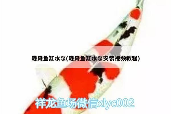 惠州市惠城區精藝水族花草世界（惠州精藝有限公司）