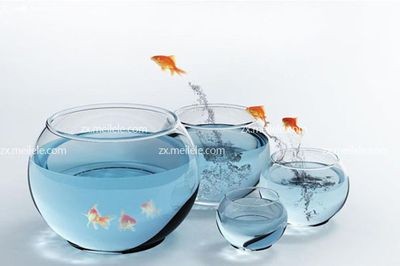不同形狀的魚缸：風水學認為魚缸的形狀會影響到家中的氣場和運勢和運勢