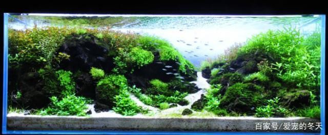 銀川市興慶區樂豐水族館（銀川市興慶區樂豐水族館地址）