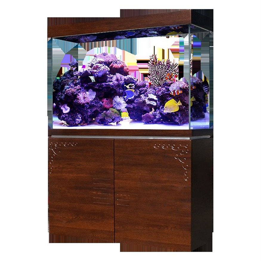 愛客魚缸質量怎么樣：愛客魚缸的質量如何？ 愛客魚缸質量怎么樣：愛客魚缸的質量如何？ 魚缸百科 第4張