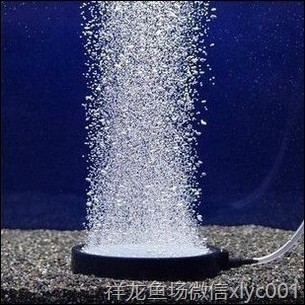 高溫?zé)Y(jié)氣盤石高級(jí)氣泡盤魚缸增氧氣泡石堅(jiān)硬邊框盤超靜音