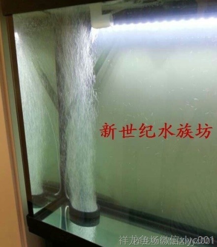 高溫?zé)Y(jié)氣盤石高級(jí)氣泡盤魚缸增氧氣泡石堅(jiān)硬邊框盤超靜音