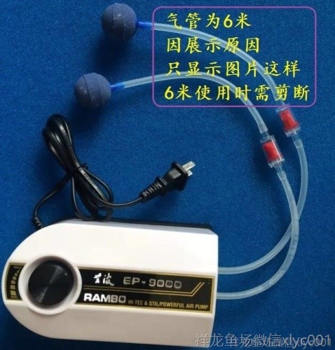 高溫燒結氣盤石高級氣泡盤魚缸增氧氣泡石堅硬邊框盤超靜音