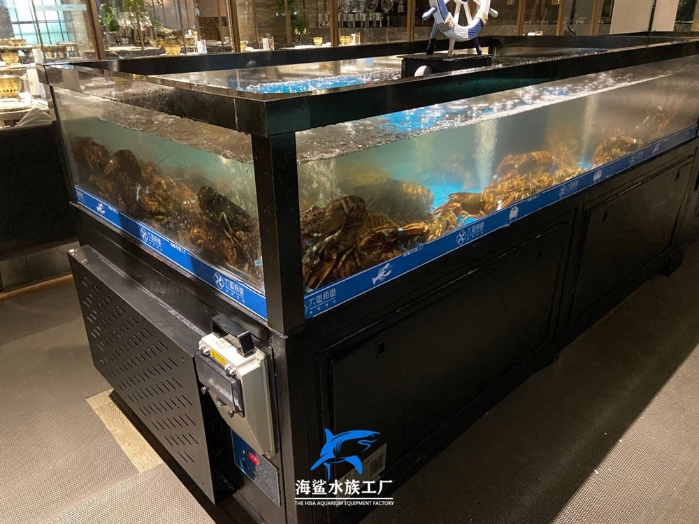出售二手海鮮魚缸騙局視頻：二手海鮮魚缸騙局