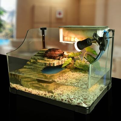 便宜的異型魚缸有哪些