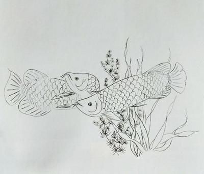 金龍魚畫魚頭朝向