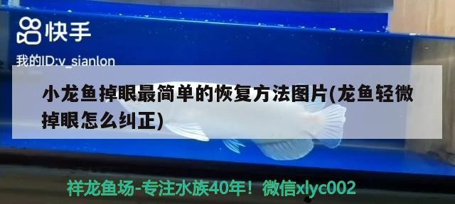 小龍魚掉眼最簡單的恢復方法圖片(龍魚輕微掉眼怎么糾正)