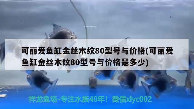虎魚大了一點來個特寫吧 虎魚大了一點來個特寫吧 虎魚百科 第1張