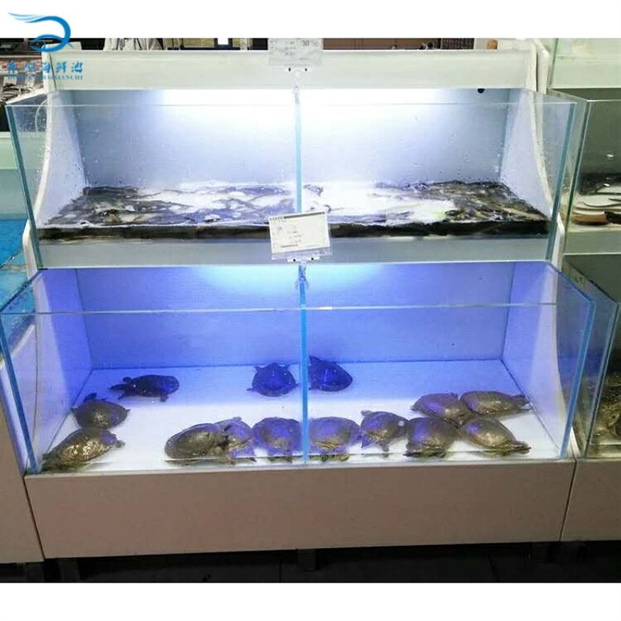 海鮮魚池設計中如何進行生態平衡：智能海鮮魚池的生態平衡