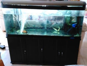廣東佳寶魚缸的價格范圍：廣東佳寶魚缸價格