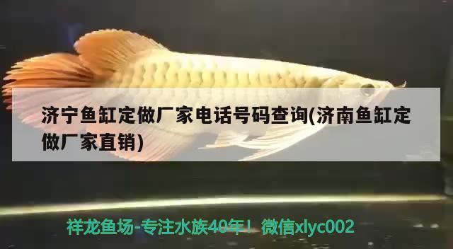 濟寧魚缸定做廠家電話號碼查詢(濟南魚缸定做廠家直銷)
