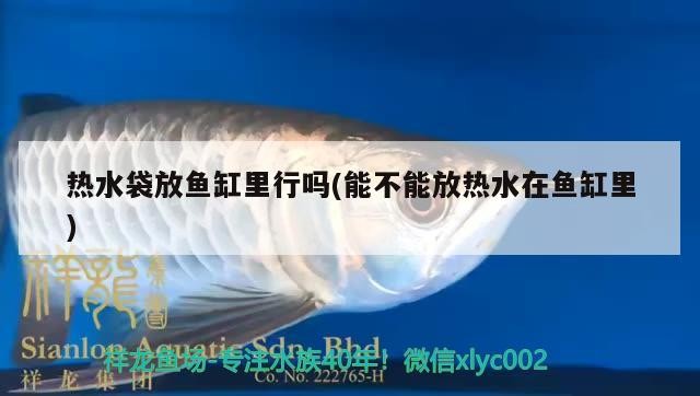 熱水袋放魚缸里行嗎(能不能放熱水在魚缸里)