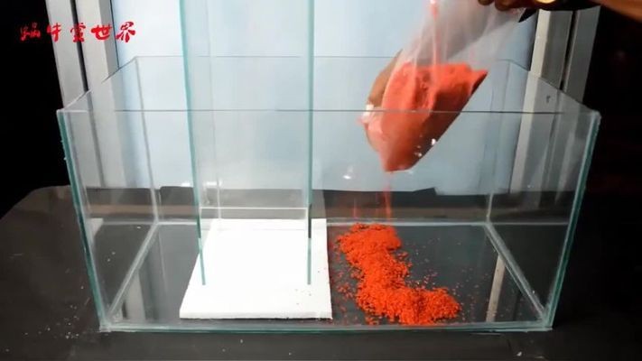 鯉城區(qū)天益水族館（鯉城區(qū)天益水族館電話）