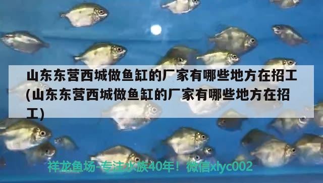 山東東營西城做魚缸的廠家有哪些地方在招工(山東東營西城做魚缸的廠家有哪些地方在招工)