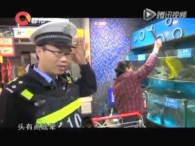 超市里放魚缸好嗎視頻：超市里放置魚缸的一些優點和缺點 超市里放魚缸好嗎視頻：超市里放置魚缸的一些優點和缺點 魚缸百科 第2張