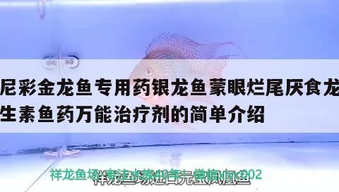 得尼彩金龍魚專用藥銀龍魚蒙眼爛尾厭食龍魚維生素魚藥萬能治療劑的簡單介紹 得尼彩金龍魚專用藥銀龍魚蒙眼爛尾厭食龍魚維生素魚藥萬能治療劑的簡單介紹 銀龍魚百科
