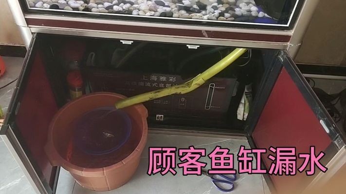 大魚缸漏水怎么修理視頻 大魚缸漏水怎么修理視頻 魚缸百科 第4張
