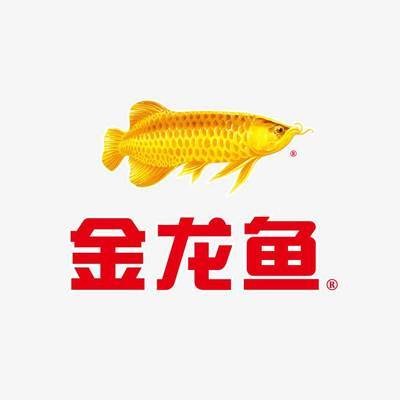 印尼紅龍魚圖片大全大圖欣賞（印尼紅龍魚喂養方法） 印尼紅龍魚圖片大全大圖欣賞（印尼紅龍魚喂養方法） 紅龍魚百科